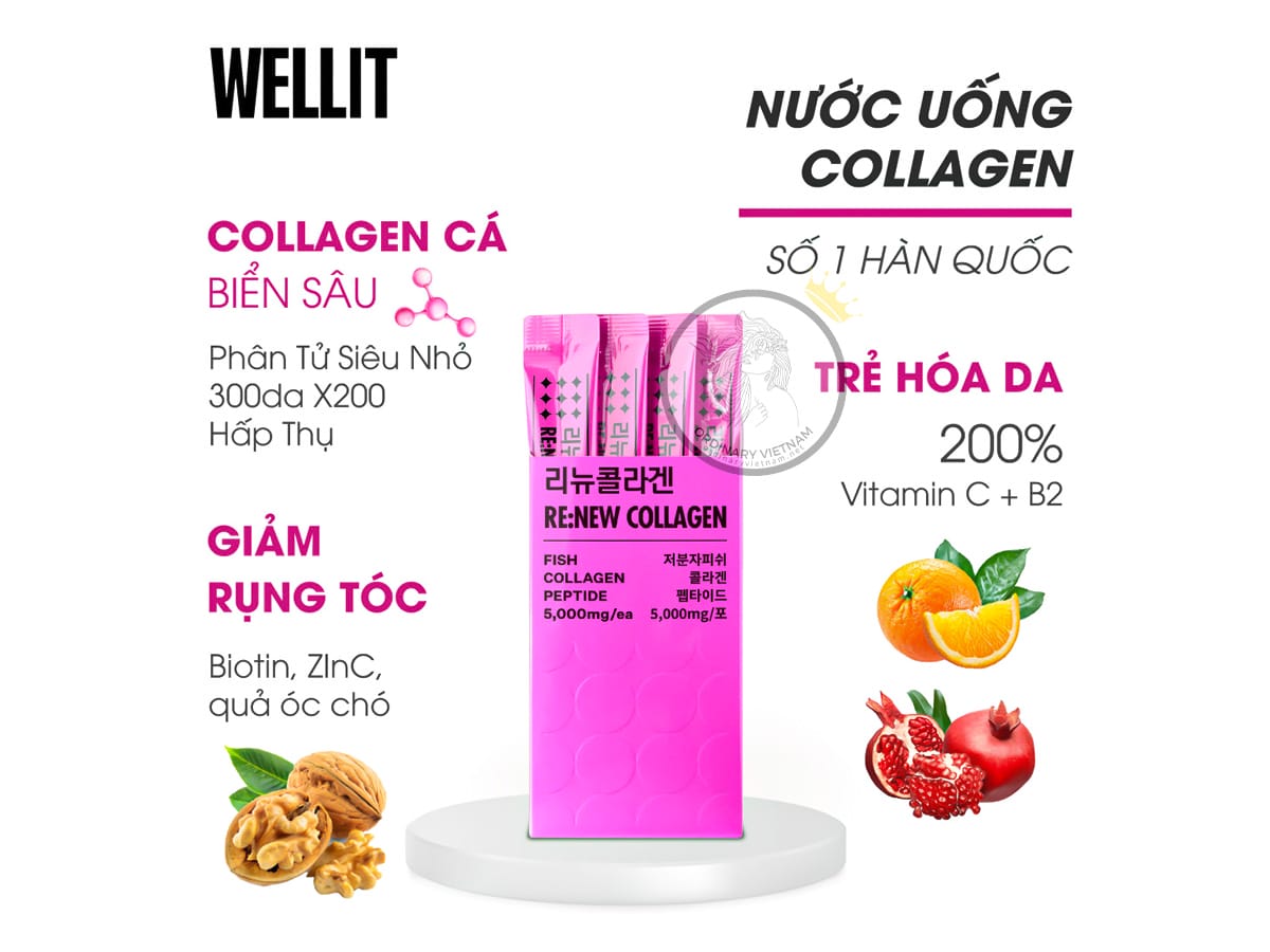 collagen-wellit
