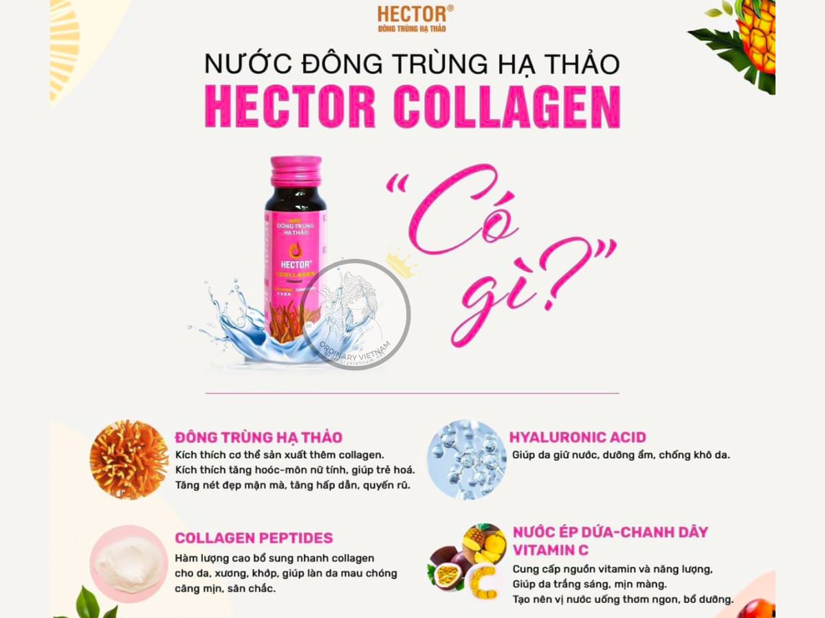 collagen-dong-trung-ha-thao